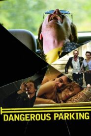 Dangerous Parking 2007 one on netflix