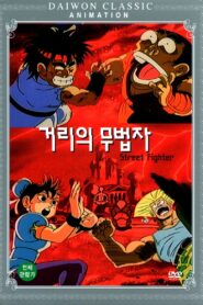 Street Fighter 1993 one on netflix