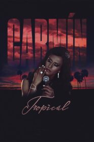 Carmín tropical 2014 one on netflix