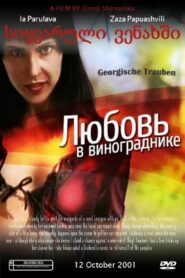 Georgian Grapes 1999 one on netflix