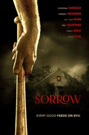 Sorrow 2015 one on netflix
