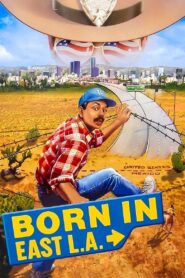 Born in East L.A. 1987 one on netflix