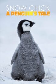 Snow Chick – A Penguin’s Tale 2015 one on netflix