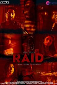 Raid 2019 one on netflix