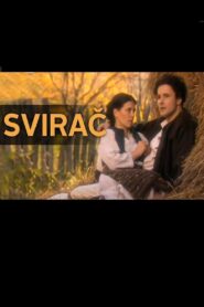 The Musician 1998 one on netflix