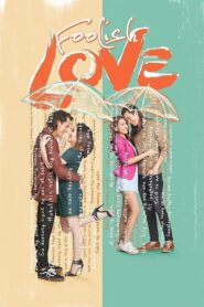 Foolish Love 2017 one on netflix
