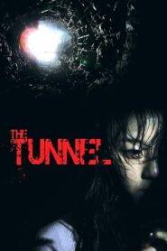 The Tunnel 2014 one on netflix