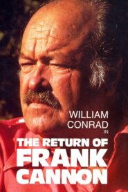 The Return of Frank Cannon 1980 one on netflix