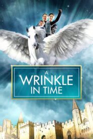 A Wrinkle in Time 2003 one on netflix