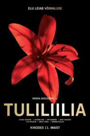 Fire Lily 2018 one on netflix