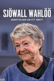 Sjöwall & Wahlöö – Berättelsen om ett brott 2016 one on netflix