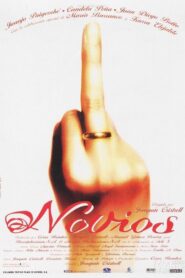 Novios 1999 one on netflix
