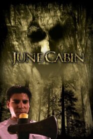 June Cabin 2007 one on netflix