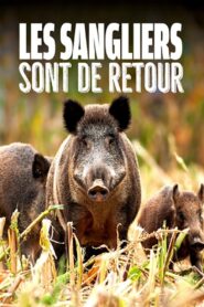 Wild Boar: The Comeback 2020 one on netflix