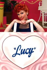 Lucy 2003 one on netflix