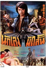 Golden Fists of a Duo 1981 one on netflix
