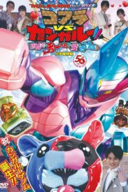 Kamen Rider Revice: Koala VS Kangaroo!! Crying Out Love Smack in the Center of a Wedding?! 2021 one on netflix