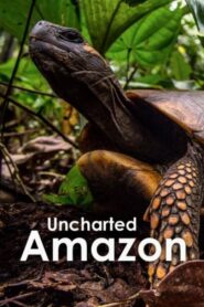 Uncharted Amazon 2016 one on netflix