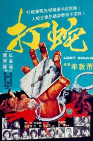 Lost Souls 1980 one on netflix