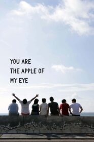 You Are the Apple of My Eye 2011 one on netflix