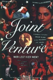 Joint Venture 1995 one on netflix