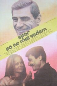 I Hope to See You Again 1985 one on netflix