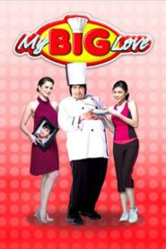 My Big Love 2008 one on netflix