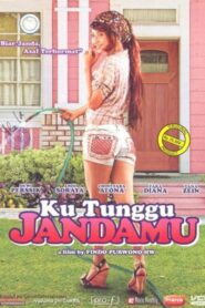 Ku Tunggu Jandamu 2008 one on netflix