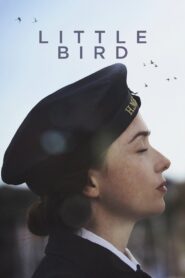 Little Bird 2017 one on netflix