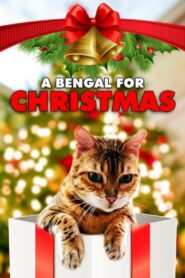 A Bengal for Christmas 2023 one on netflix