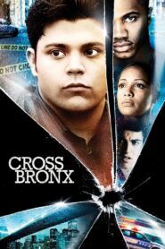 Cross Bronx 2004 one on netflix
