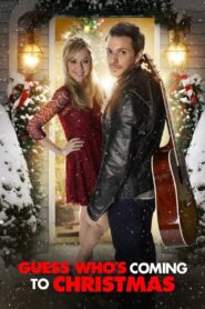 Guess Who’s Coming to Christmas 2013 one on netflix
