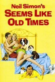 Seems Like Old Times 1980 one on netflix