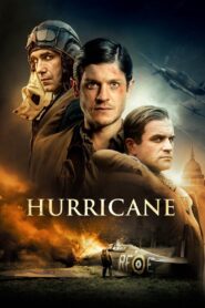 Hurricane 2018 one on netflix
