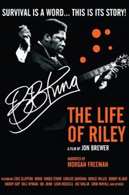 B.B. King: The Life of Riley 2012 one on netflix