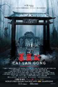 Cai Lan Gong 2015 one on netflix