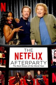 The Netflix Afterparty: The Best Shows of the Worst Year 2020 one on netflix