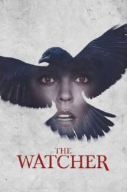 The Watcher 2016 one on netflix