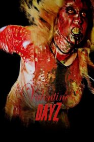 Valentine DayZ 2018 one on netflix