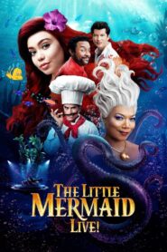 The Little Mermaid Live! 2019 one on netflix
