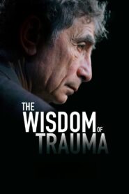 The Wisdom of Trauma 2021 one on netflix