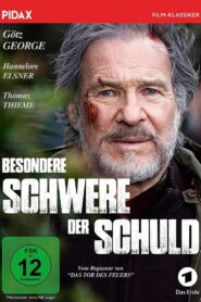 Besondere Schwere der Schuld 2014 one on netflix
