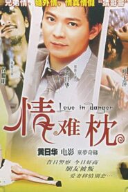 Love in Danger 1994 one on netflix
