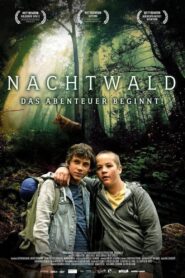 Night Forest 2021 one on netflix