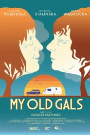 My Old Gals 2023 one on netflix