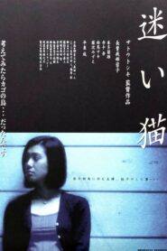 Apartment Wife: Lost Cat 1998 one on netflix
