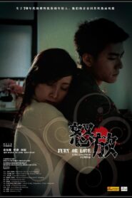 Fury or Love 2007 one on netflix