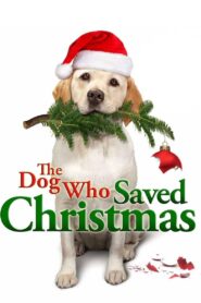 The Dog Who Saved Christmas 2009 one on netflix