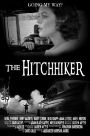 The Hitchhiker 2014 one on netflix
