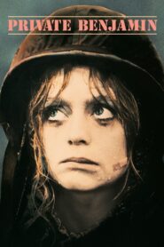Private Benjamin 1980 one on netflix
